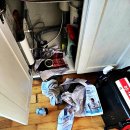 김포식당 이미지