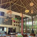 수 있는 무이네 예쁜 숙소 추천🏝️✨ 밤부 빌리지 비치 리조트 Bamboo Village Beach Resort (+조식 후기)
