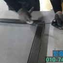 방충망대통령 이미지