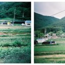 사방외갓집마을 이미지