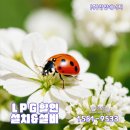 공장 lpg 전문 가스마켓 곤충농장 탐방기