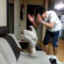 최소연 | 산본PT 올바름핏PT센터 최소연 트레이너 PT 5회 솔직후기 / 한 달만에 체지방률 -1,4%