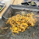 오리야오리 | 오리를 대패불고기로 먹는다고? | 주남저수지맛집 오리야놀자 내돈내산후기