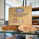 르바게트 | 동탄호수공원 뷰맛집 카페 | 블랑제리 르가르쏭 초코바게트 솔직후기