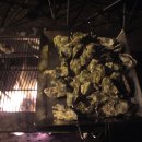 윤석농장 이미지