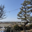 미호강 | 콘벨트 청주 미호강 주변의 대형카페 후기 메뉴 주차