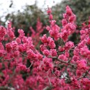 산이농원 이미지