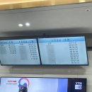 비파로 106 이미지