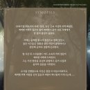 춤추는갈매기 이미지