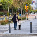 대전상지초등학교 이미지