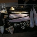 서고지민박 이미지