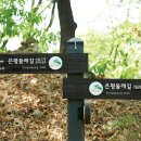 시니어IT직무교육 이미지
