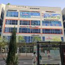 포커스 온 펫 이미지