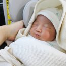 당진 도로시 산후조리원 후기