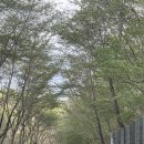 소리숲음악교습소 | 울산 글램핑 추천ㅣ울주 별숲글램핑 내돈내산 재방문 후기