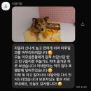 참사랑유치원 | 발산 마곡 애견카페 호텔 유치원 커멍커멍 내돈내산 1년 이용 후기