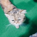 발당구장 이미지