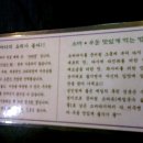 건대시마다 이미지