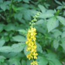 선학초등학교 이미지