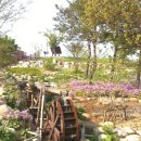 호수와바다 이미지