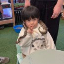 행운농장 | 김해 아이랑 가볼만한곳 열대우림 체험농장 동물 먹이체험