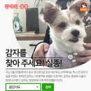 효신시장 이미지