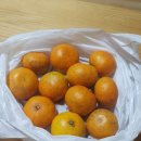 보나농장 이미지