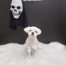 그루밍조이 이미지