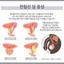 드림온비뇨의학과의원 네이버블로그