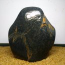 학-비상 이미지