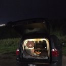 CU강릉명주점 | 강릉 순긋해변 아이와 첫 차박 :)