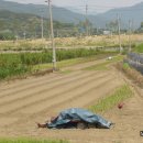 관리농장 이미지