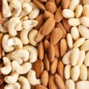 서울하이동물의료센터 이미지