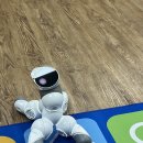 월성유치원 | 대구 달서구 대곡 화원 근처 엘키즈 유치원 체험놀이터