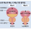 빈뇨와 야간뇨, 치료가 필요할까? 이미지