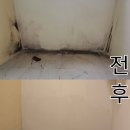 빡빡청소 | [공지] 입주청소 해야하는 이유 빡빡브라더스 이사청소 솔직후기