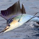 슈퍼맘케어 이미지