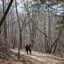 삼화제3근린공원(매화공원) | “우리나라 가장 오래된 고갯길” 월악산 하늘재 숲길 트레킹