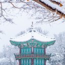 서울 여행 경복궁 눈 내리는 향원정 설경 건청궁 후기