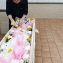 로하스광명요양병원 이미지