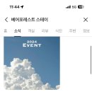 베어포레스트스테이