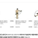 아령 운동 11가지 정확한 자세 [모셔온 글] 이미지