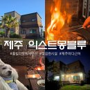 제주올레카라반 & 캠핑 | 애견동반 제주 가족여행 2박3일 이스트몽블루 독채 펜션 추천 후기