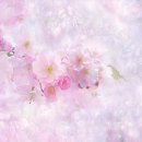 큰꿈경로당 이미지