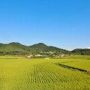 죽동1리 마을회관 이미지