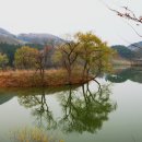 삼화목장 이미지