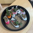 대산초교 병설유치원 이미지