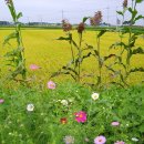 카페의 글방에서 글 자랑하다가는 큰 <b>코</b> 다친다