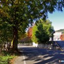 남산약수터 | 전남 순천 남산(인제산, 347m) 순천만과 국가정원을 바라보는 멋진 조망터(2025.11.14)