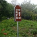전견훤묘 주차장 | 논산 역사 탐방 「전견훤묘(견훤왕릉)」